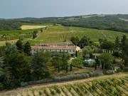 Vignoble avec piscine