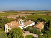 Vignoble avec piscine
