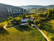 Vignoble avec piscine