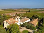 Vignoble avec piscine