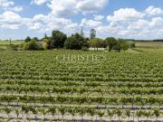 Vignoble avec piscine