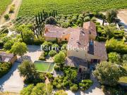 Vignoble avec piscine
