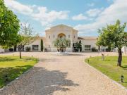 Vignoble avec piscine