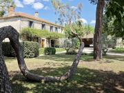 Vignoble avec piscine et dépendances