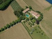 Vignoble avec piscine et dépendances
