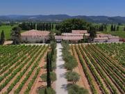 Vignoble avec piscine et dépendances