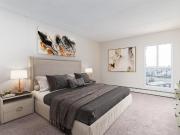 Viking Arms 1 Bedroom Apartment for Rent