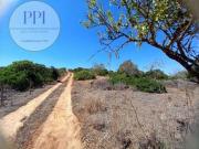 Vila do Bispo Faro 8650 000 92588462