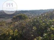 Vila do Bispo Faro 8650 000 92588652