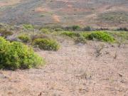 Vila do Bispo Faro 97100840