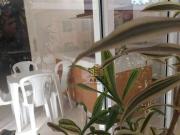 Vila Marina ótimo apartamento triplex, com lazer, 3...