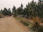 Vila Nova de Famalicão Vila Nova de Famalicão 100696621