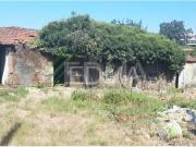 Vila Nova de Famalicão Vila Nova de Famalicão 91174737