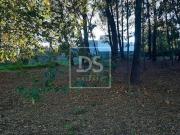 Vila Nova de Gaia Porto 73233675