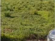 Vila Nova de Gaia Vila Nova de Gaia 86052450 Vila Nova de Gaia Vila Nova de Gaia 86052450