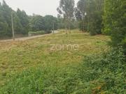 Vila Nova de Gaia Vila Nova de Gaia 95791674