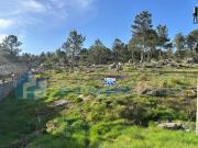 Vila Real Vila Real 97121125