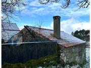 Vila Real Vila Real 98569236