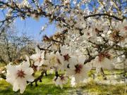 Villa 22 chambres, Montclar Languedoc Roussillon 11250...