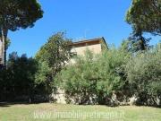 Villa 3 camere da letto, Castel Viscardo Umbria DS84872541