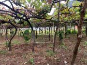 villa 3 quarto, Chaves Vila Real DS73232400