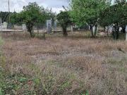 villa 3 quarto, Grândola Setúbal DS96164251