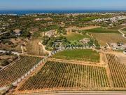 villa 3 quarto, Lagoa Faro DS93101864