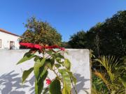 villa 3 quarto, São Brás de Alportel Algarve DS90928513