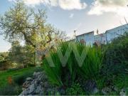 villa 3 quarto, Tavira Algarve DS79503153