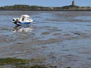 Villa 4 chambres, Quettehou Basse 50630 DS99089542