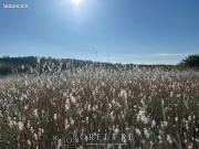 Villa 4 pièces 85 m² Villa 4 pièces 85 m²