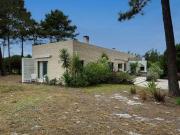 villa 4 quarto, Alcobaca Leiria DS81995656