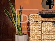 villa 4 quarto, Braga Braga DS94122936