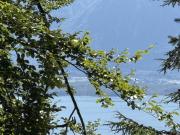 Villa 5.5 pièces à Blonay