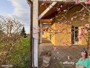 Villa 5 pièces 156 m²