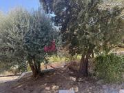 Villa 5 pièces 185 m²