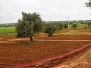 villa 5 quarto, Albufeira Albufeira DS93657924