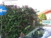 Villa 5 vani 550mq