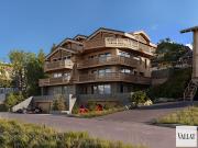 Chalet avec terrasse