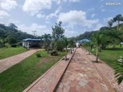 Villa 7 pièces 250 m²