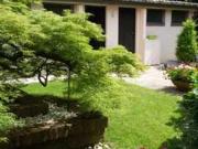 Villa 8 camere da letto, Forlì Forlì 47122 ELS96745040