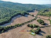 Villa 9 camere da letto, Manciano Grosseto 053014 DS85666872