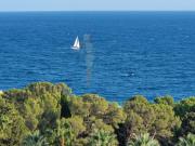 Villa à raser sur beau terrain de 2 400 m²