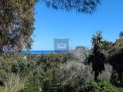 Villa à rénover avec dépendance Beauvallon 165m² Grimaud Villa à rénover avec dépendance Beauvallon 165m² Grimaud