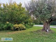 Villa a schiera arredata con terrazzo
