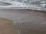 Villa a schiera con terrazzo Po' bandino