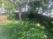 Villa a Schiera in affitto a Camaiore via Don Minzoni,...