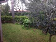 Villa a Schiera in affitto a Carovigno, arredato,...