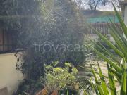 Villa a Schiera in affitto a Guidonia Montecelio via...