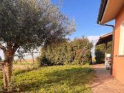 Villa a schiera in affitto a Pisa